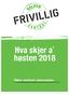 Hva skjer på Frivillighuset på dagtid?