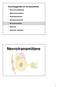 Nevrotransmittere. Grunnleggende om nervesystemet. Clive Bramham. Nevronal cellebiologi. Membranpotensialet. Aksjonspotentialet. Synapsepotensialet