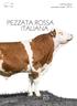 PEZZATA ROSSA ITALIANA