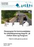 Planprogram for kommunedelplan for sykkelekspressveg langs Rv. 36 mellom Skien og Porsgrunn. - Tiltak for å skille gående og syklende