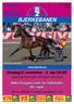 BJERKEBANEN.   Onsdag 2. november - 1. løp Waba Gruppens serie for stallansatte VG+ løpet