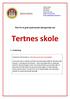 Tertnes skole. Plan for et godt psykososialt læringsmiljø ved. 1. Innledning. Visjonen for Tertnes skole er «Aktiv læring med varme og tydelighet».