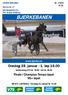 BJERKEBANEN.   Onsdag 23. januar - 1. løp Innlevering V75 kl DD kl Finale i Champion Tempo-løpet VG+ løpet