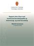 Rapport etter tilsyn med kommunal beredskapsplikt og helsemessig- og sosial beredskap