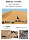 Sentrale Marokko Per Øystein Klunderud. Natur- og kulturreise, med vekt på ornitologi