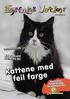 Kattene med feil farge