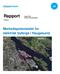 Rapport. Markedspotensialet for elektrisk byferge i Haugesund. Ingunn Ellis Kristine Wika Haraldsen 122/2019