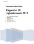 Rapporter til regionårsmøte 2019