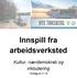 Innspill fra arbeidsverksted