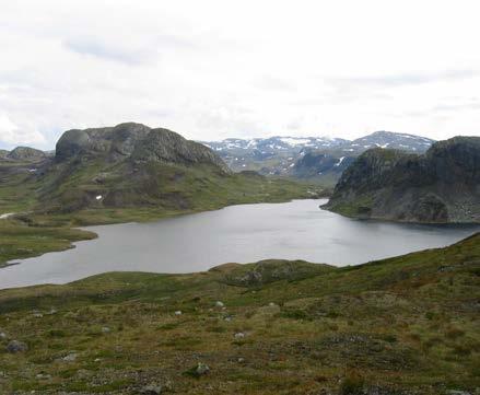 den gav rom for å få fisken opp i vekter på i alle fall eitt kilo.