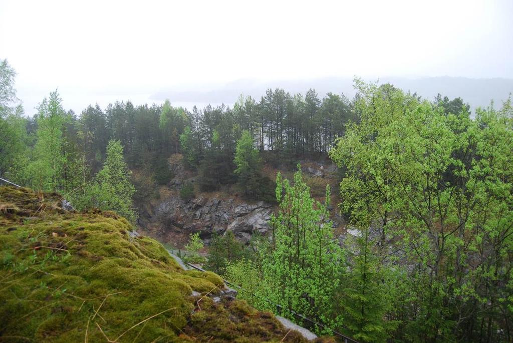 Figur 4: Utsikt mot Farrisvannet fra toppen av knausen på nordlige del av feltet (Cf34690_07). Foto v/c. Eymundsson 2013.