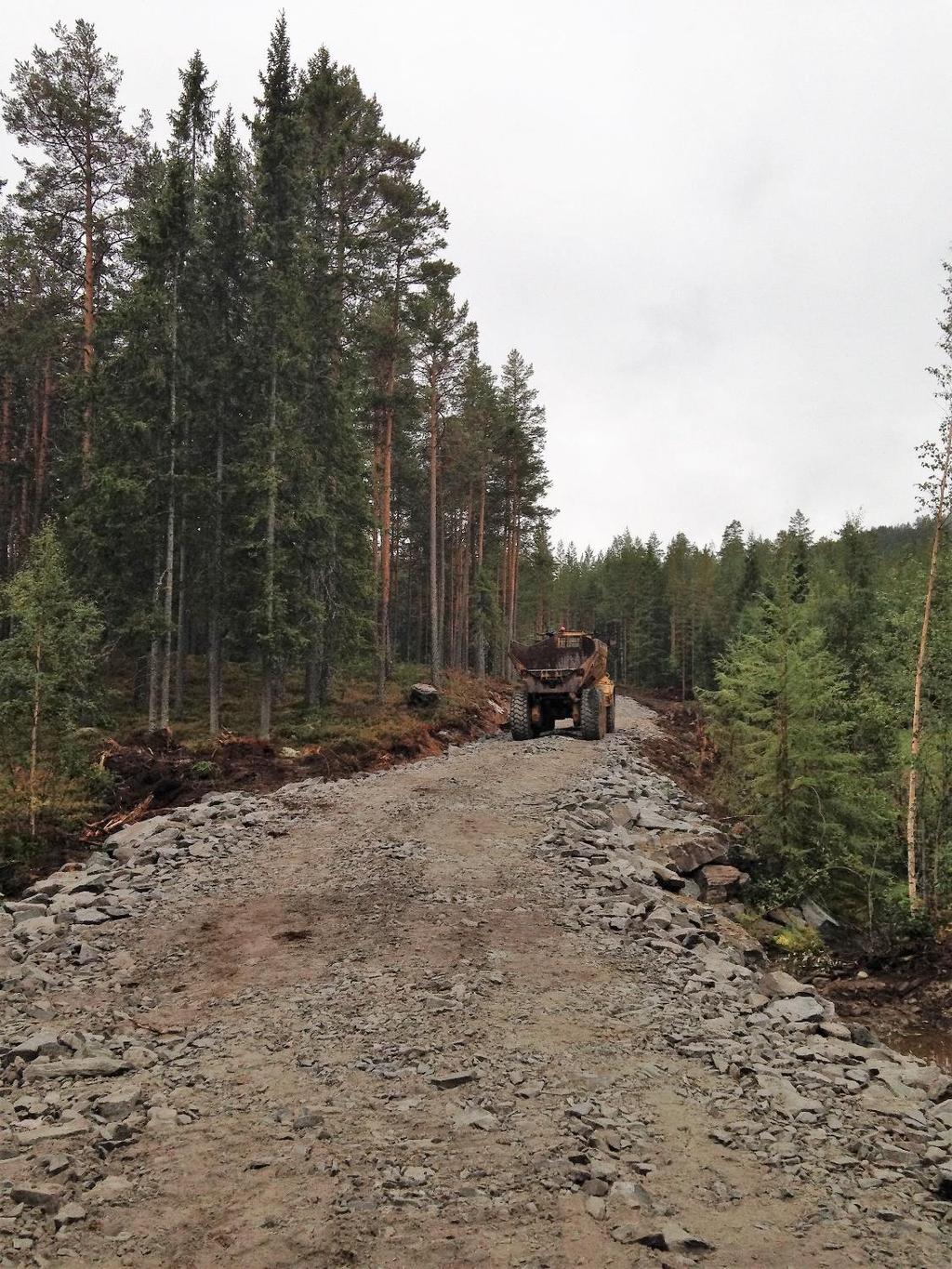 Veistandard Skogsbilveier Høy bæreevne Transport hele året (forutsatt fri for is og snø) veiklasse 3 og 4 Tunge kjøretøy Høy