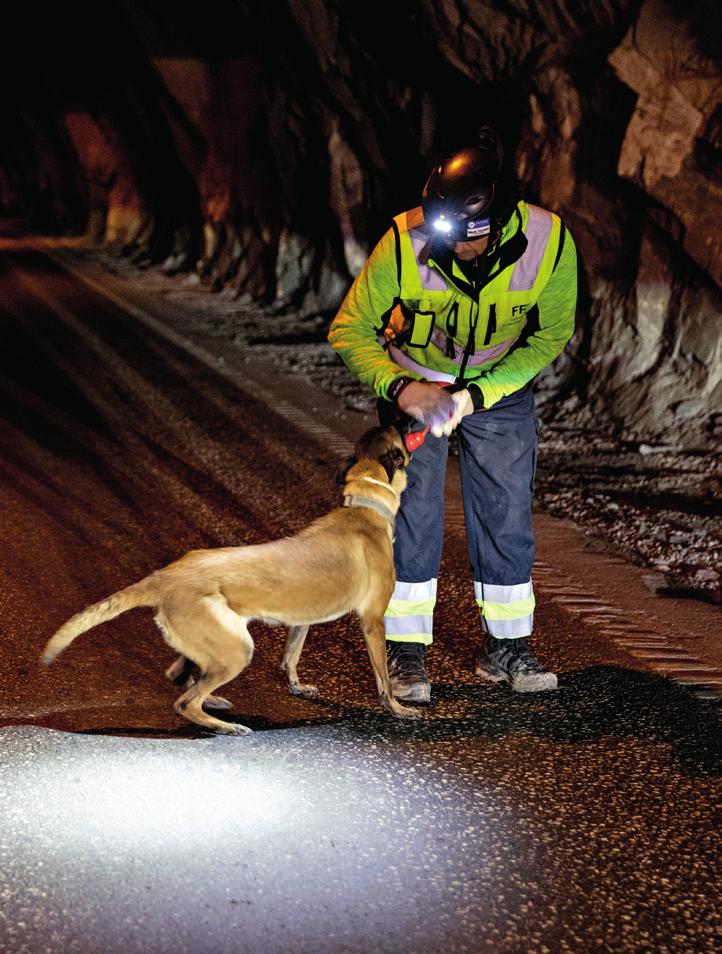 Kartlegging av tunnel Denne prosedyren anvendes ved tunnelrehabilitering og ved nyetablering av tunneler. Det er krav om at det alltid skal kartlegges med to hunder.