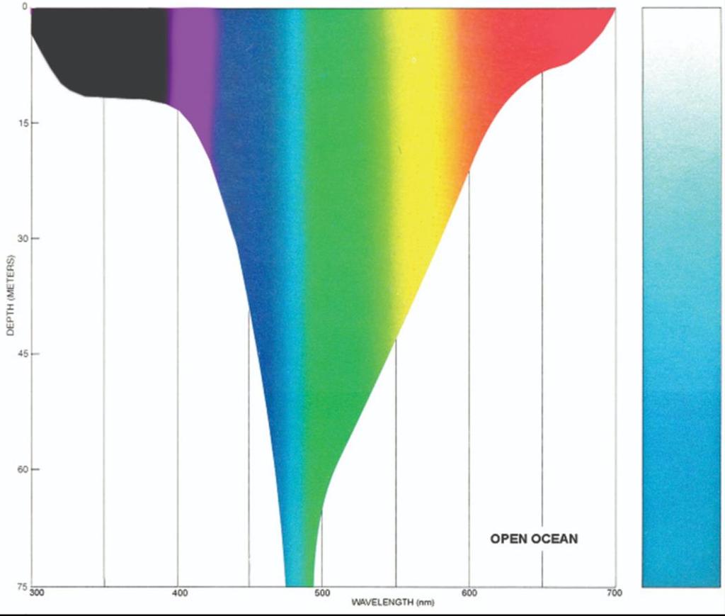 Lys og vann Rent klart vann absorberer mye fiolett og rødt lys Maksimal gjennomtrengning gir blågrønt lys (460-490 nm) Rødt og