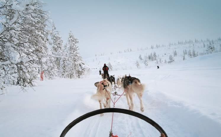 med mange lokale og nasjonale musikere.