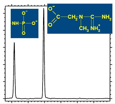 Kreatin Cr/P-Cr er i ATP-metabolismen Ofte er