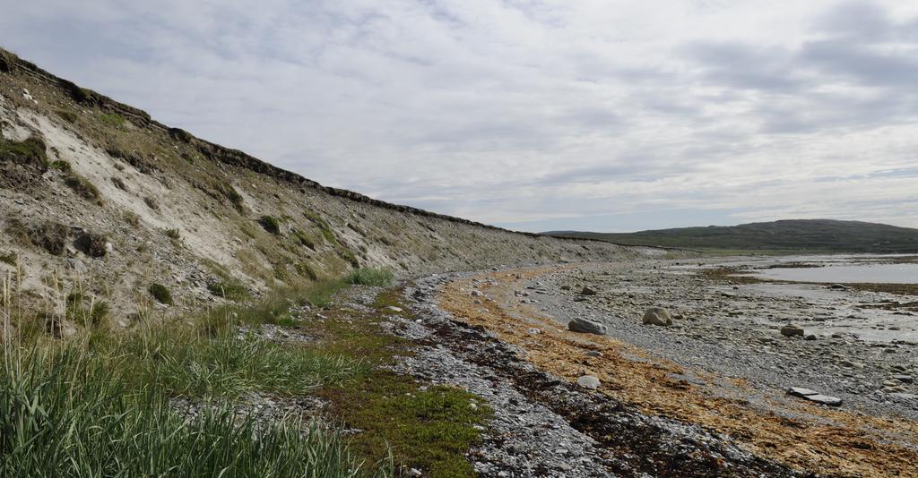 Verdens nordligste sandsvalekoloni? Finnmark har betydelige mengder med sandsvale, som finnes spredt fra Alta i vest til Sør-Varanger i øst.