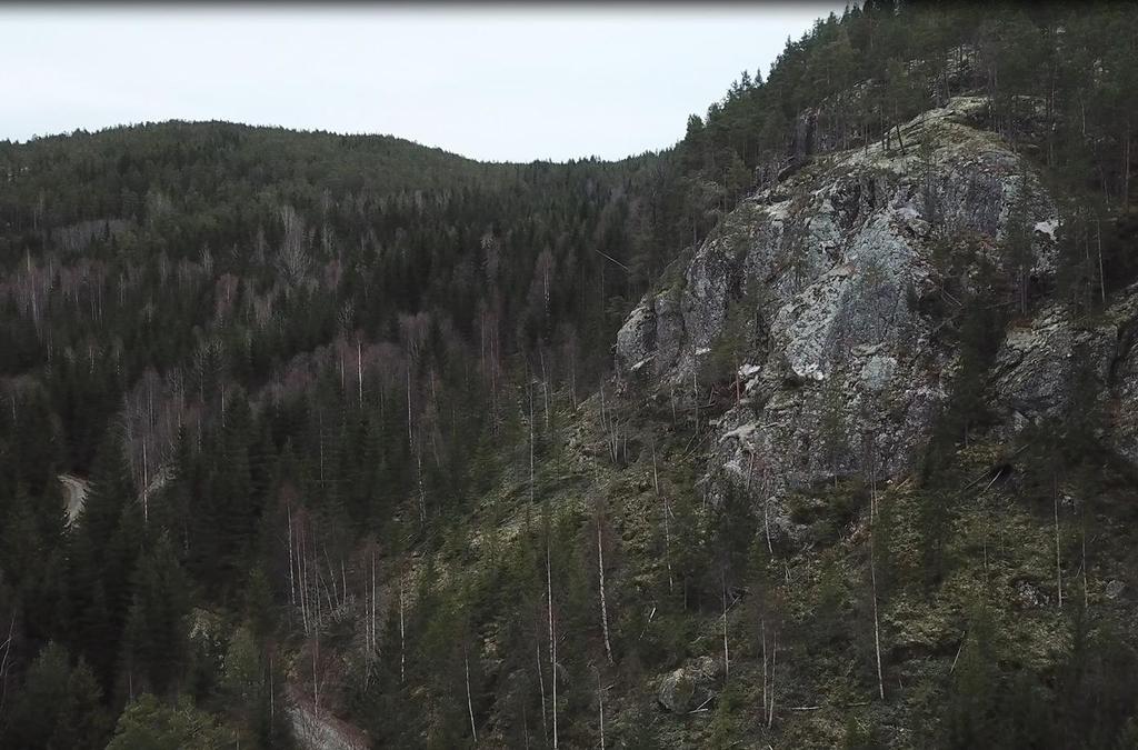 Figur 8: Stillbilde fra dronefilm. Bratt fjellknaus rett ovenfor veien der stien kommer opp fra hytte 1. Oppover dalsiden reduseres høydeforskjellen til skrenten, og området er dekket av tett skog.