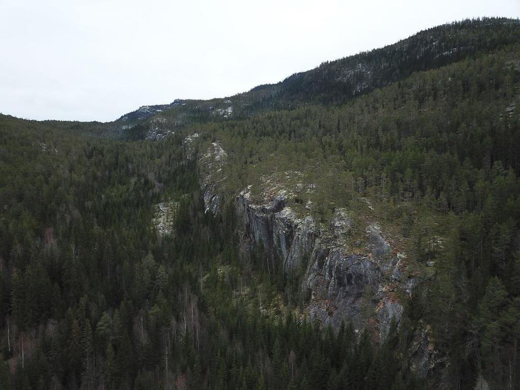 Figur 9: Dronefoto over Leirbrøtbekken og fjellskrenten som strekker seg parallelt med turstien. 5.2.3 Vurdering av område 3 I området 3 går stien opp Føndalen etter å ha passert Bjørnaskard.
