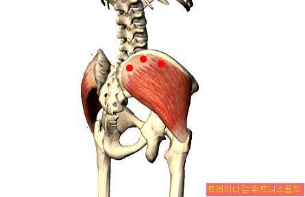 Isometrisk abduksjon Symptomer Smerter på utsiden av hofta med stråling ned utside lår L4, L5 Tilstander Bursitt vanligst gluteal + trochanter