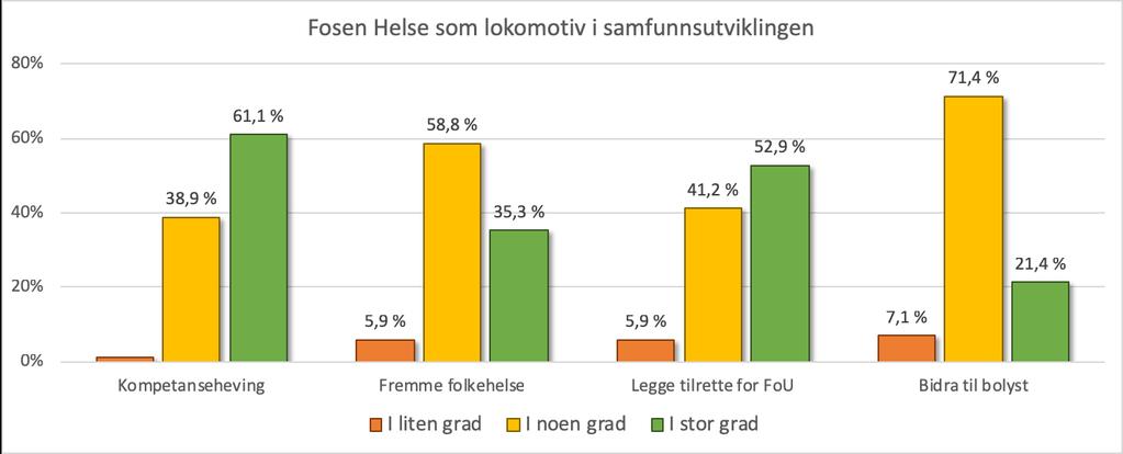 Alle informanter Gjennomsnittverdier basert på svaralternativer 1-6: Pådriver for kompetanseheving i regionen 4,7 Arbeid for å fremme folkehelse i regionen 4,1 Legge til rette for forskning og