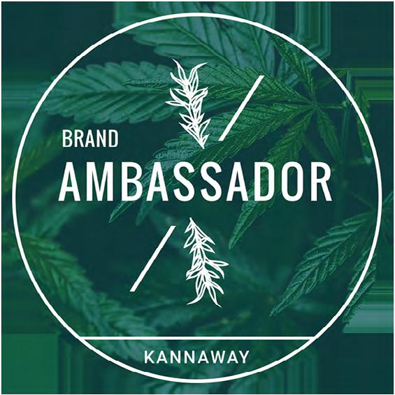 Provisjonsplan 2019 21 Brand Ambassador (BA) Krav Betale det obligatoriske, årlige Brand Ambassador-gebyret på $54.98/ 47.