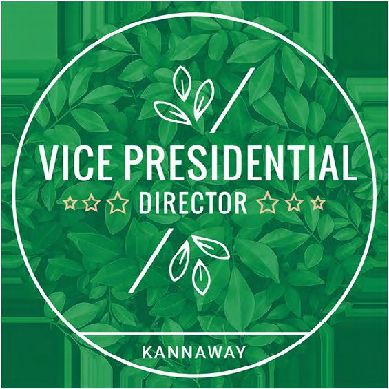 Provisjonsplan 2019 32 Vice Presidential (VPD) Krav Betale det obligatoriske, årlige Brand Ambassador-gebyret på $54.98/ 47.