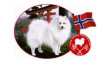 Vedlegg 2 Lover for Norsk Japansk spisshundklubb Klubb stiftet 01.12.1979 Vedtatt av årsmøtet den 22.06.2018 med senere endringer, senest av 29.06.2019 Lovene er godkjent av Norsk Kennel Klub den Kap.