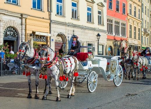 Deretter kjører vi direkte til vårt utmerkede Hotell Copernicus som er oppkalt etter den polsk-tyske astrologen. Hotellet ligger sentralt til, har et utmerket fellesareale og flott frokost buffet.