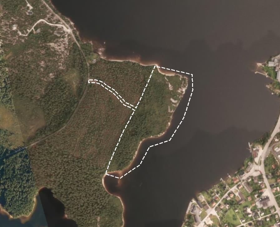 8 /13 3.2 Generelt om området Planområdet ligg på vestsida av sørenden av Byglandsfjord, helt nord i Evje og Hornnes kommune. Tilkomst til området er langs Fv 304/305 snaue 3 km frå Rv 9.