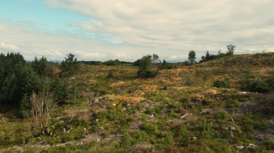 Søknad om oppstart/planinitiativ.