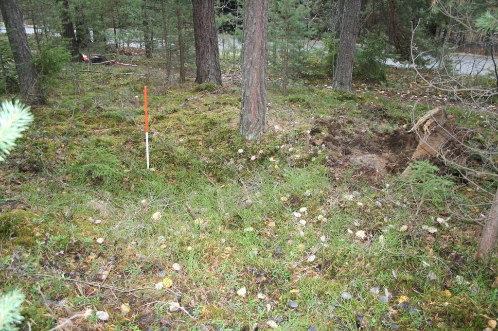 4.5 UTGRAVINGA Den påviste og undersøkte kullgropa ligger som nevnt 8-10 m nord for Røyseveien i terreng som heller slakt mot sør.