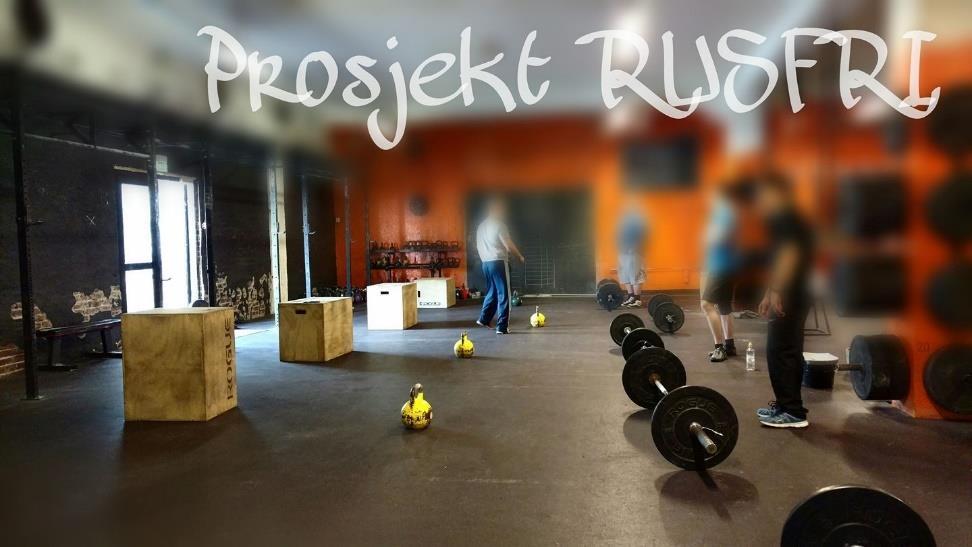Fase 2: Prosjekt Rusfri Prosjekt Rusfri har gjennomført 2 grupper og vil fortsette i 2019. Resultatet har vært 100 prosent gjennomført.