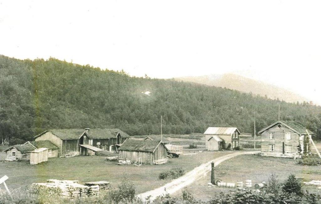 Historien om Rostadmofamilien Denne historien starter i Stor-Elvdal og Rendalen.