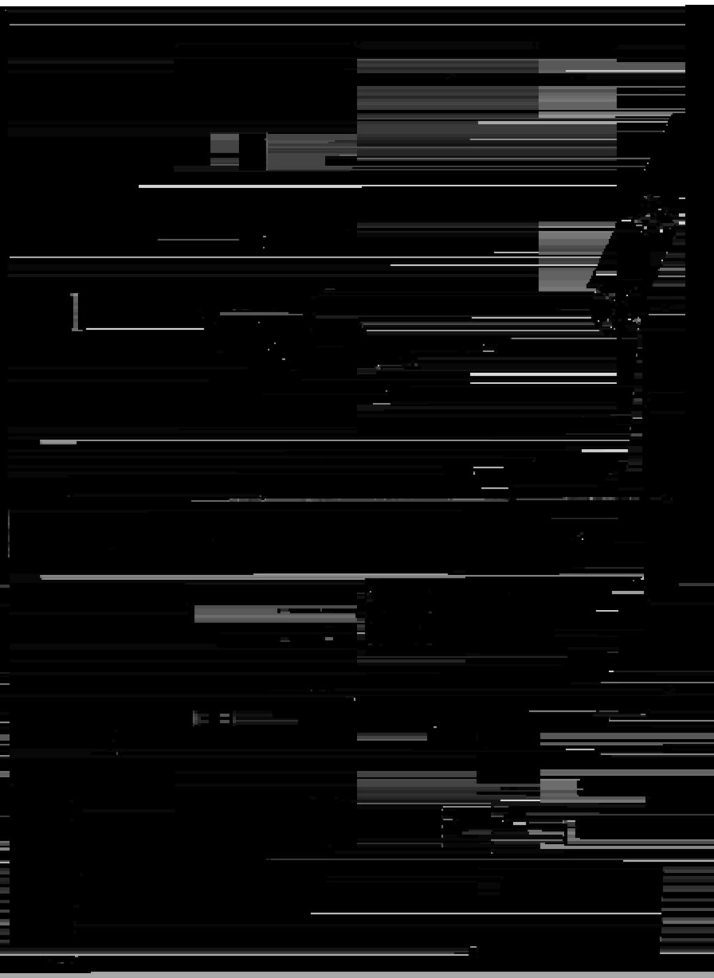 1 - I <. "" " %.... _.... {... _. ;.... _..._... X. ;.... I.. ' "% - T a o mva f ors k" e II.... o * "'... _E..._.E* J» %, 300 m N %.r afé w. \ T E * ' «.. s \!