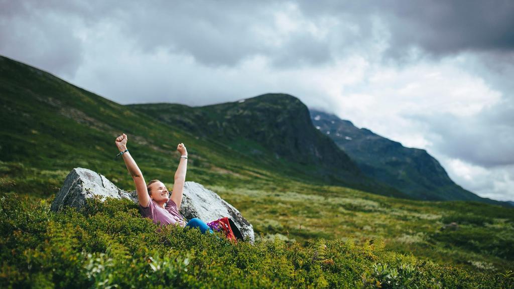 Frå nikkersadel til FOLKERØRSLE «Lad oss gjøre det let og billigt, at