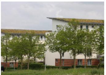 Det anbefales å vurdere mulighet med å anlegge grønne tak på hybelbyggene. Figur 9: Eksempel på grønt tak til venstre. Foto: Sweco.