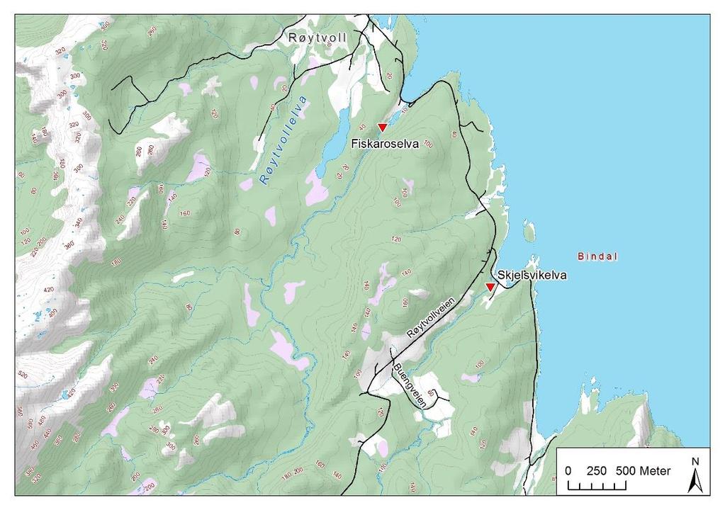 Skjelsvikelva og Fiskeroselva Skjelsvikelva renner ut ved Skjelsviksjøen i Bindalsfjorden. Elva drenerer skog- og myrlandskap i øvre deler. Anadrom strekning er på ca. 1,7 km opp til Buenget.