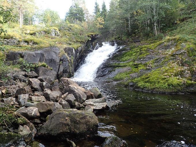 Bilde: Kvernfossen i Øvja. Aunvatnet er ett lite vatn på ca. 0,25 km² som er omgitt av åpent jordbrukslandskap og noe skog.