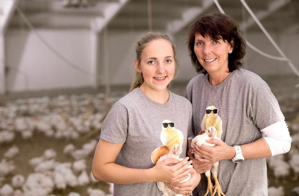 Dyrevelferd Alle kyllingene har et godt liv Vi er stolte av karakteren A i etisk regnskap Målet vårt er toppkarakter i etisk regnskap på slakteri og alle våre rugerier.