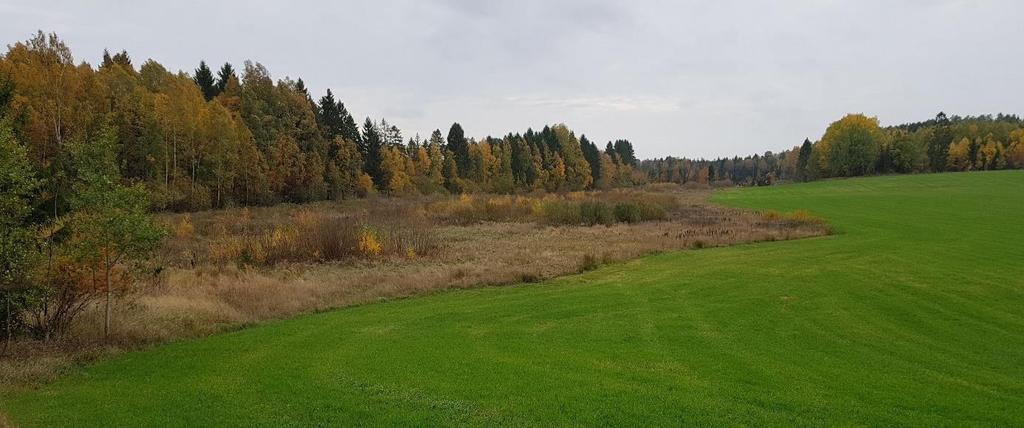 Figur 9. Mottaksarealene som ikke dyrkede arealer til venstre i bildet. Bildet er tatt mot syd den 13.10.2018.