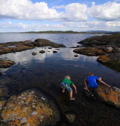 I tillegg skal en Norsk Geopark blant annet integrere kunnskap og steder med kulturhistoriske og økologiske verdier med de geologiske.