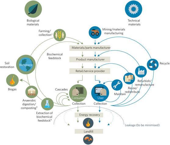 Circular Economy Value Chains Farming/ collection Biological materials Restoration Biochemical feedstock