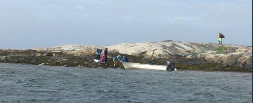 Strandrydding er en viktig del av satsingen I forbindelse med