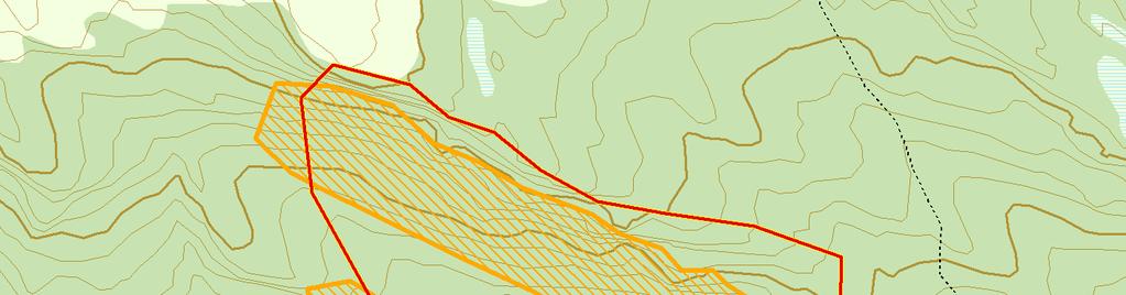 Naturfaglige registreringer av kystfuruskog 2015 knoltren