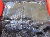 6 cm Sandig sediment, oljefilm på top. P25.