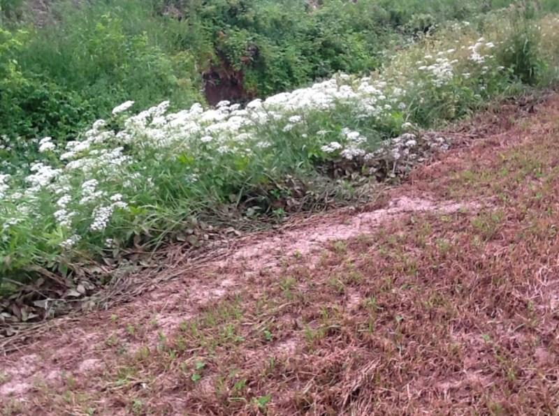 Foto: A-GB Blankenberg reduserer også faren for tilførsel av