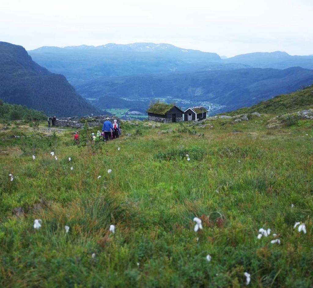 Førdsnipa frå Hjelle via Hjellestølen 863 m.o.h / 2,8 km Krevjande Stien går frå parkering ved Angedalsvegen, ved Hjelle. På Hjellestølen er det skilt mot Førdsnipa.