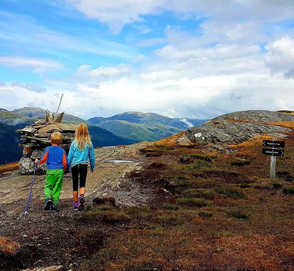 Viefjellet frå Vieåsen 673 m.o.h / 1,7 km Krevjande Parkering ved barnehage/idrettspark i Vieåsen. Skilta veg/sti derifrå. God sti opp gjennom skogen og til toppen.