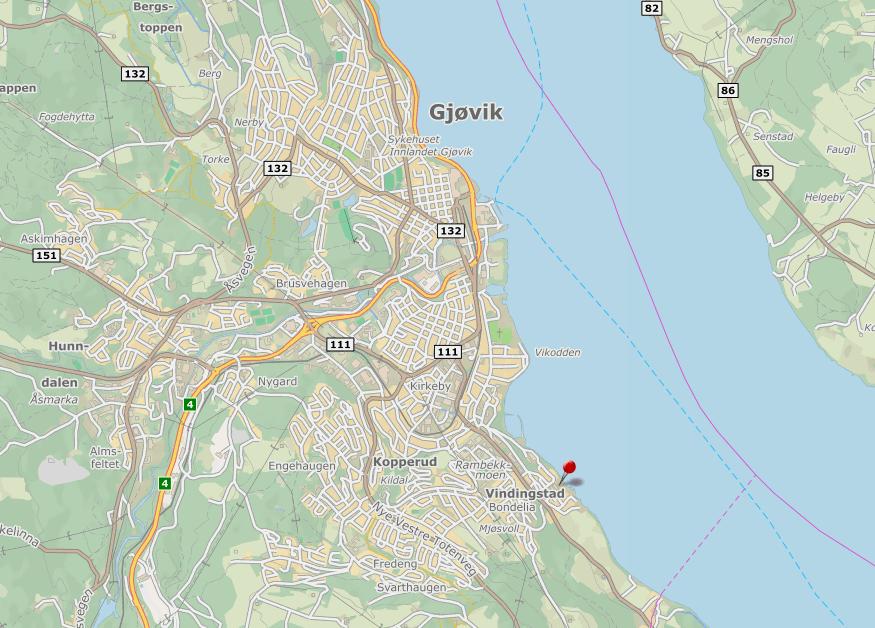 Orientering Norconsult AS er engasjert av Bondelia AS for å vurdere grunnforhold på tomten (gnr. 57/bnr. 55), vist på Figur 1. Eiendomsadressen er Sommerrovegen 33 i Gjøvik kommune.